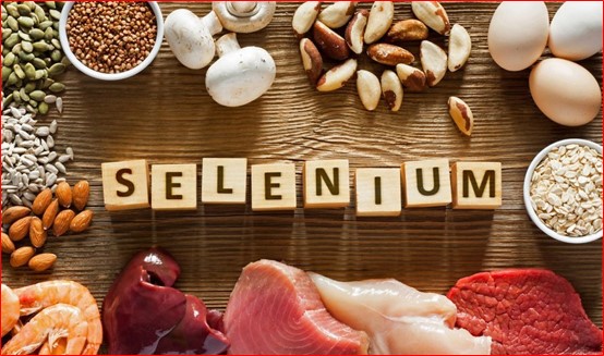 SELENIUM-RICH FOODS