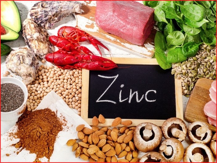 ZINC-RICH FOODS